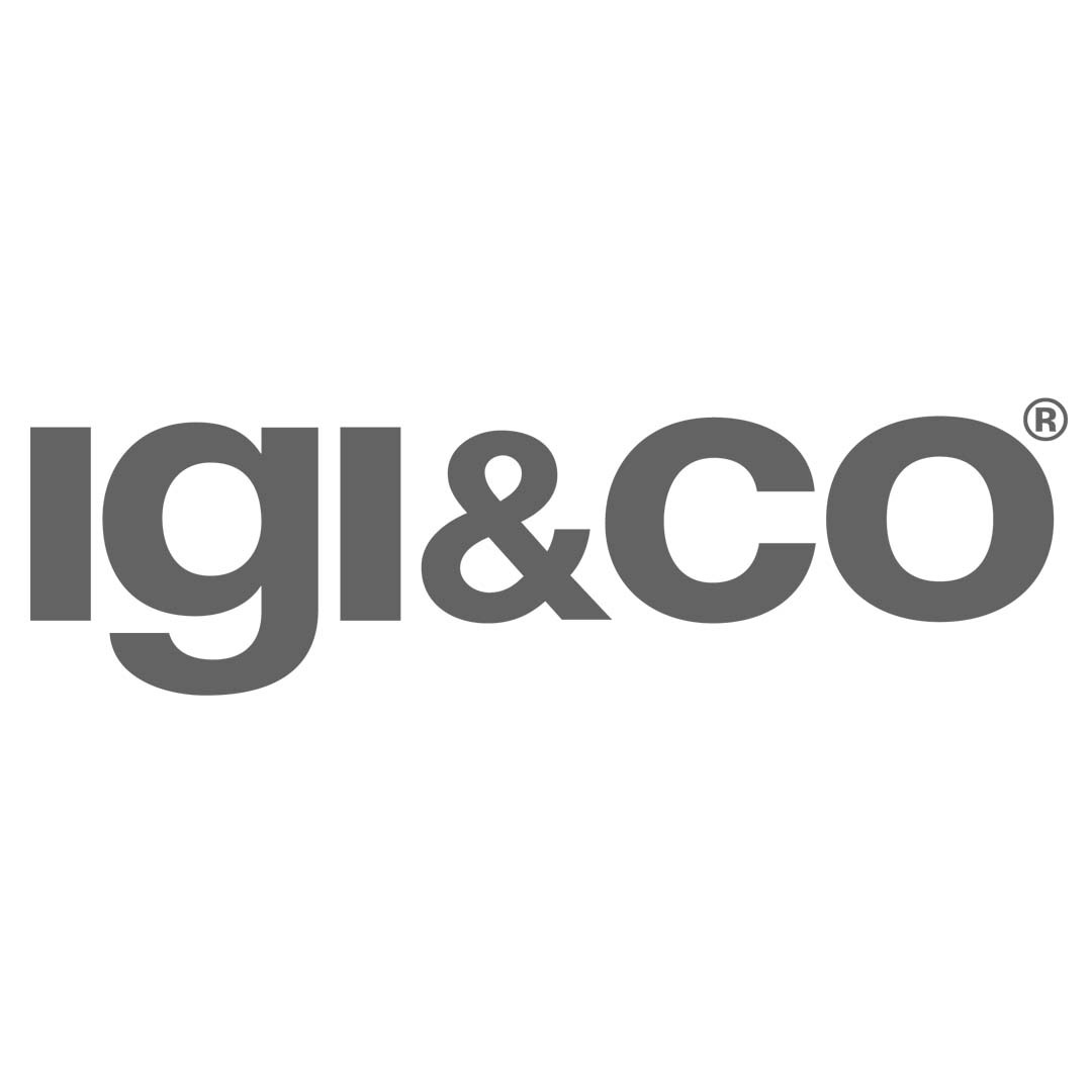 Igi & Co