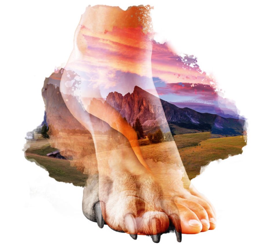 Einlegesohle weiches Material "Orthofit" mit Leder